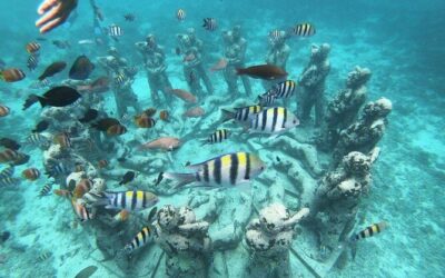 Snorkeling and Diving in Gili: A Paradise Underwater