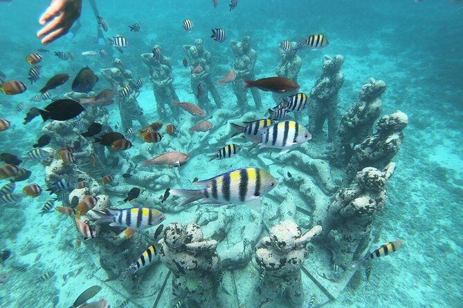 Snorkeling and Diving in Gili: A Paradise Underwater